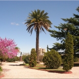 Jardin de la cathédrale