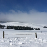 L'Aubrac sous la neige
