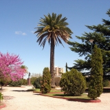 Jardin de la Cathédrale